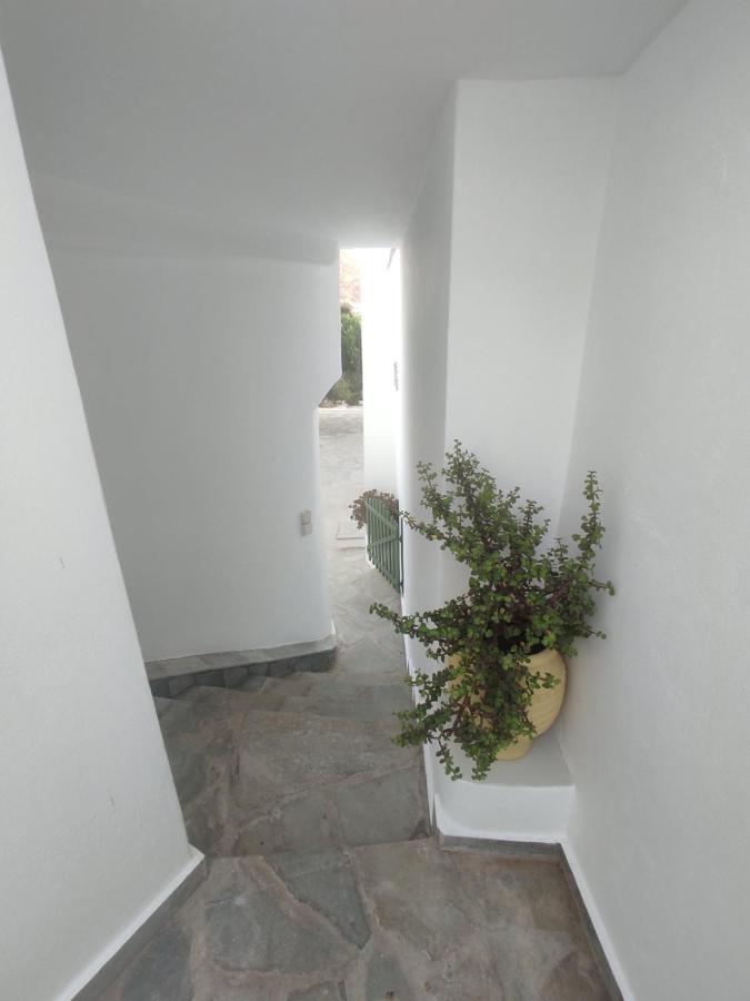 House Moschα Villa Andros Town Exterior photo